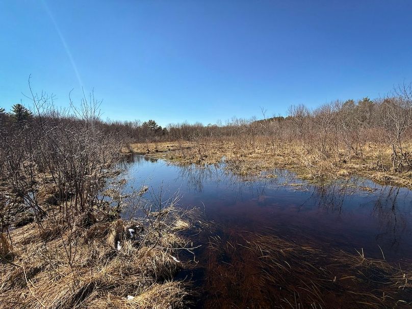 Oswego_8_Cannade_Photos_25