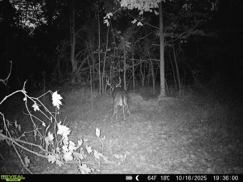 860322066773638-80-3-10162025200142-HD-SYFW4214