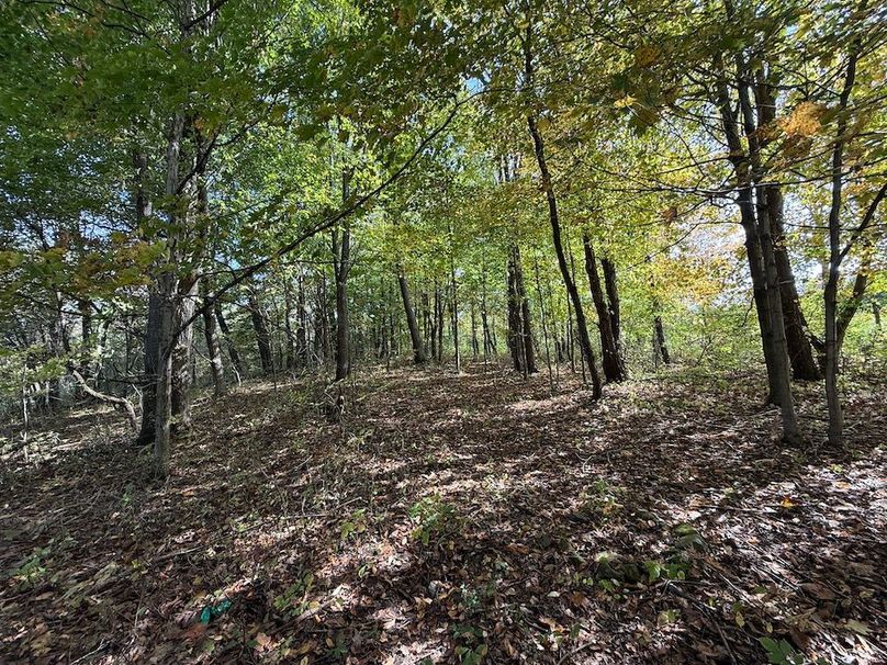 Cayuga_55.02_Herman Photo 30