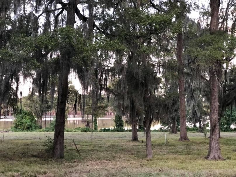 70706927 100410058032866 9185305269263925248 n