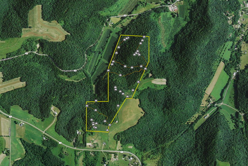 Screen shot 2020-02-03 at 5.46.45 pm