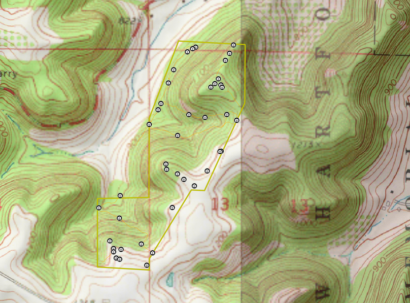 Screen shot 2020-02-03 at 5.48.01 pm