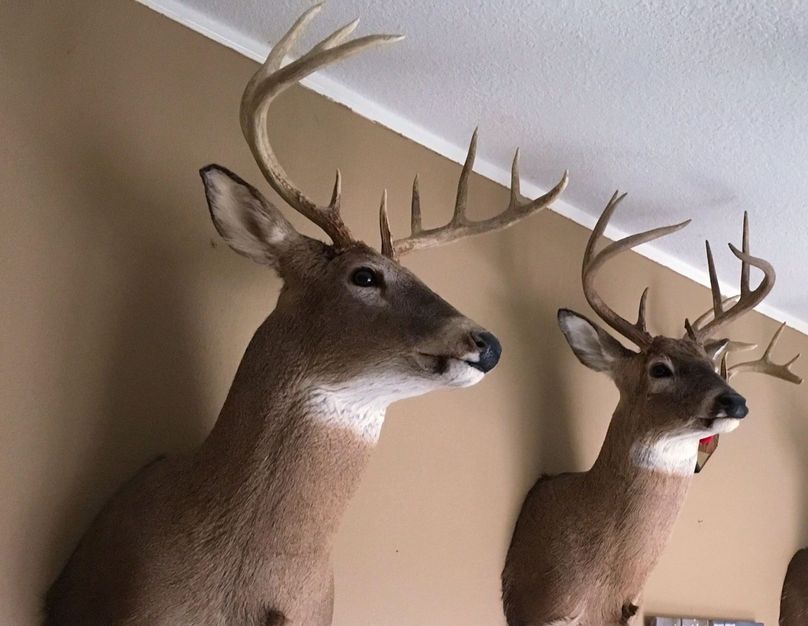 E49236538 281589859193812 4064250113944453120 n