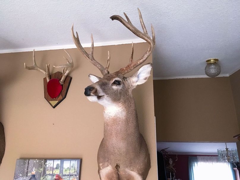 E49748420 1191638274350870 1769361582027964416 n