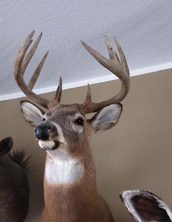 E49721786 288503948477611 6156209786246397952 n