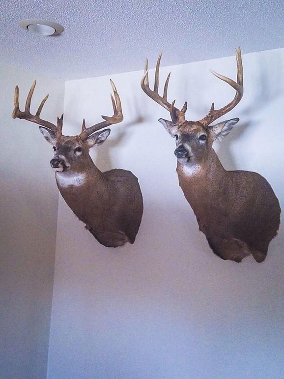 E49895309 289082858630201 6167655113881026560 n