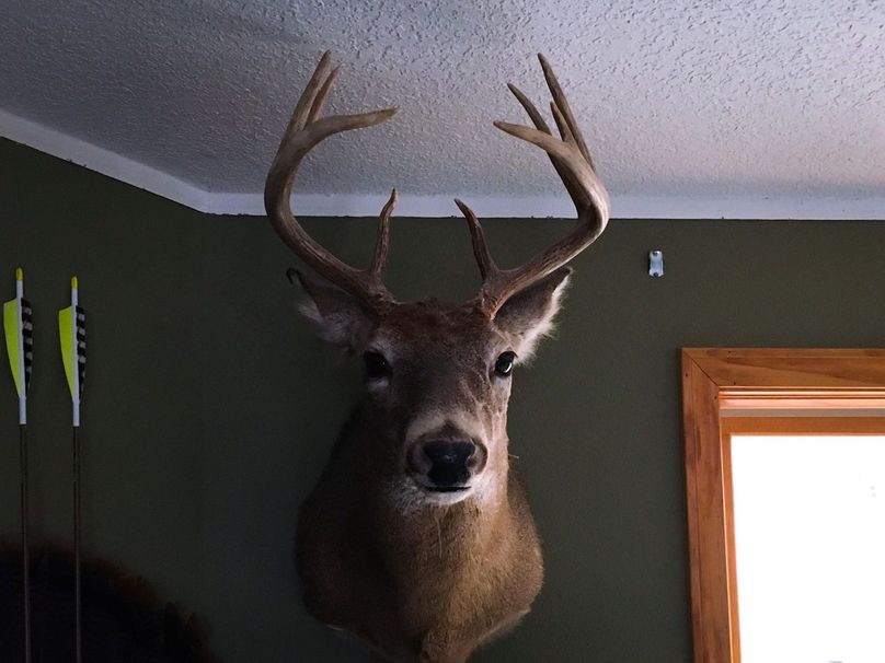 E49946702 1208259322660805 8406475858520309760 n