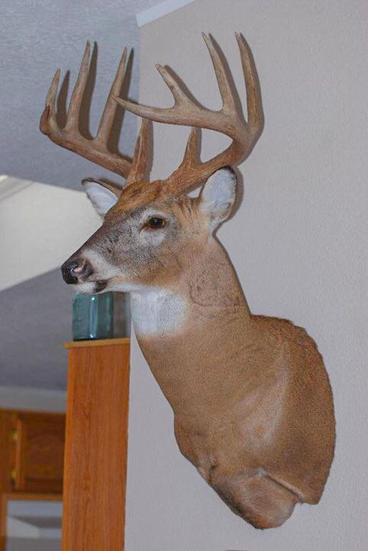 E84567945 2367969290160372 3986165834681679872 n