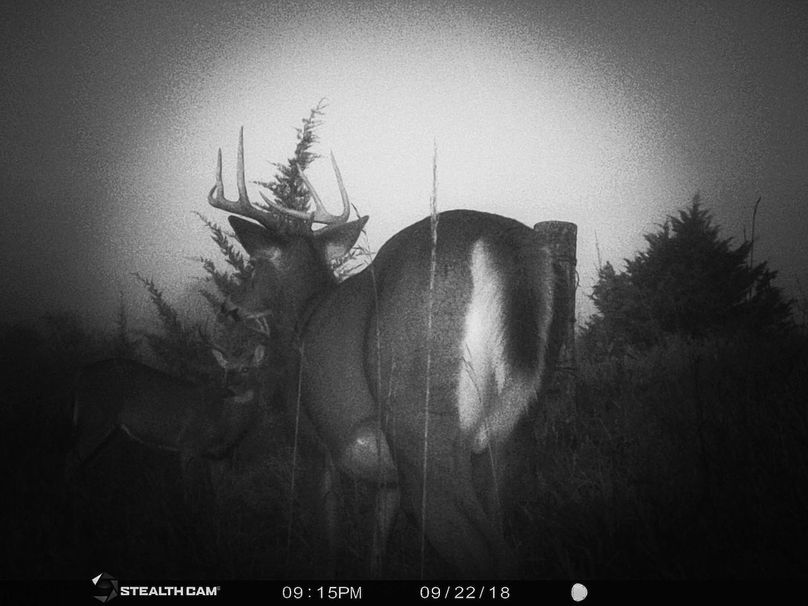 49438964 394389724668536 6806299515092467712 n