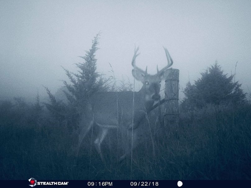 49667080 332787404236718 1452525624173264896 n