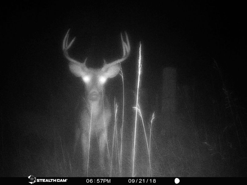 49671314 1227986387348863 5357252921803145216 n