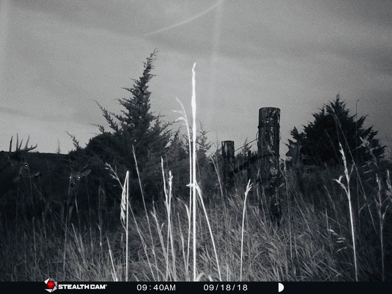 49682635 356429358275888 7105205917221650432 n