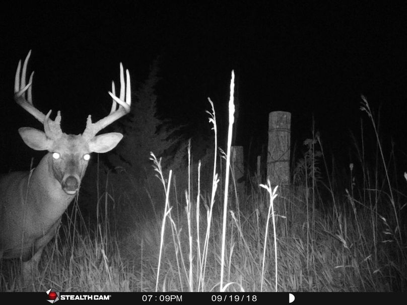 49729365 221391988748214 6496513015909711872 n