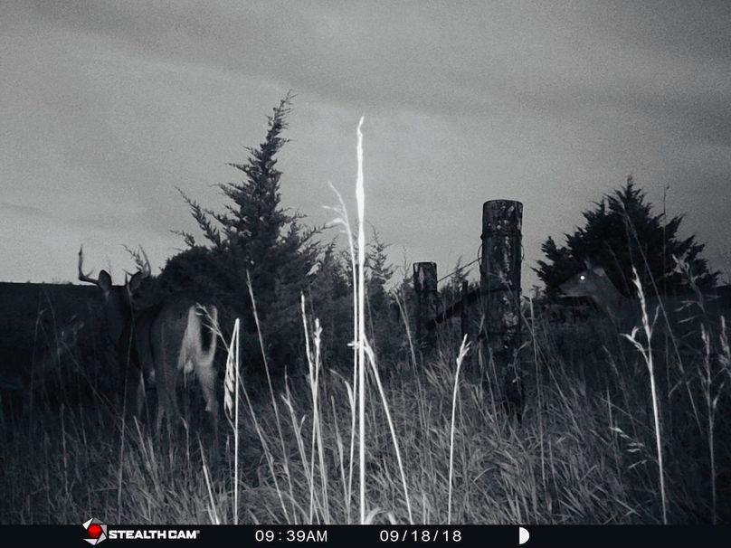 50022201 2062025057422268 2049243817361539072 n