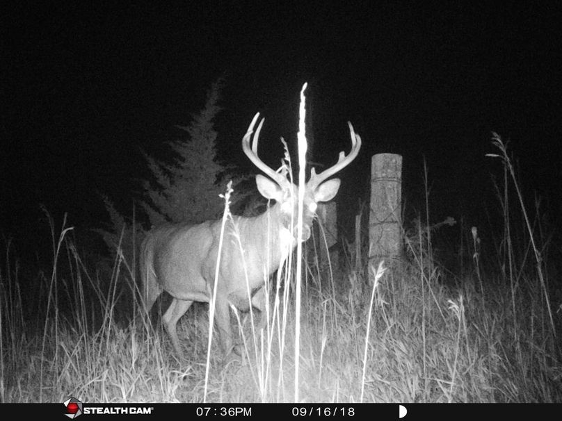 50022326 2238665209750409 8909984765940072448 n