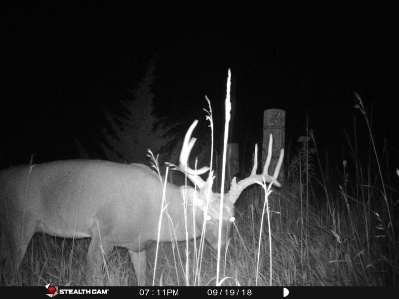 50103841 519785011841534 6934809622398107648 n