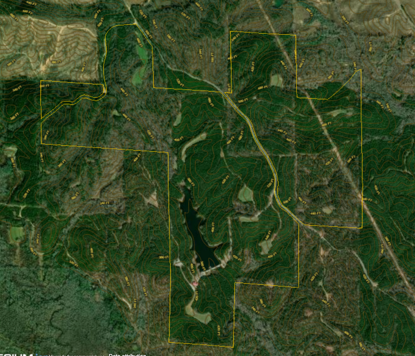 Screen shot 2020-02-03 at 11.17.18 pm