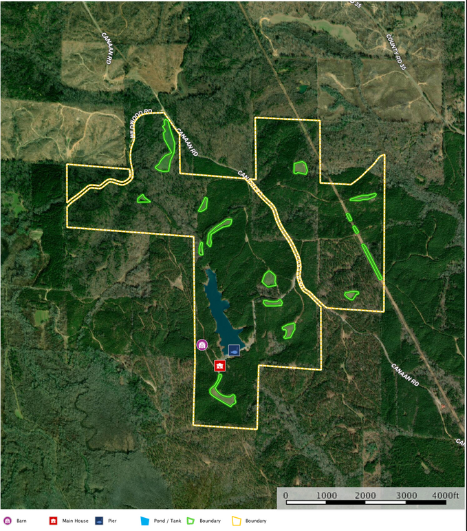 Screen shot 2020-02-03 at 11.39.13 pm