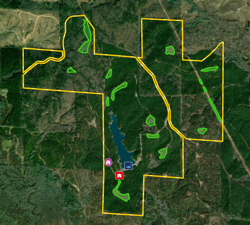 Screen shot 2020-02-03 at 11.43.07 pm