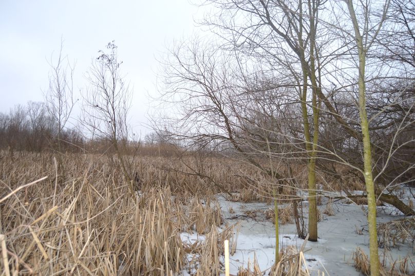 Ne corner looking west