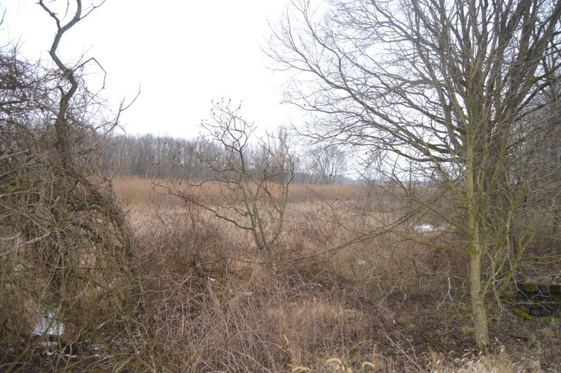 Edge of north line looking south