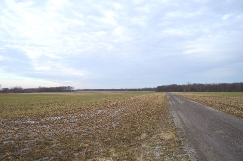 Looking east across the property