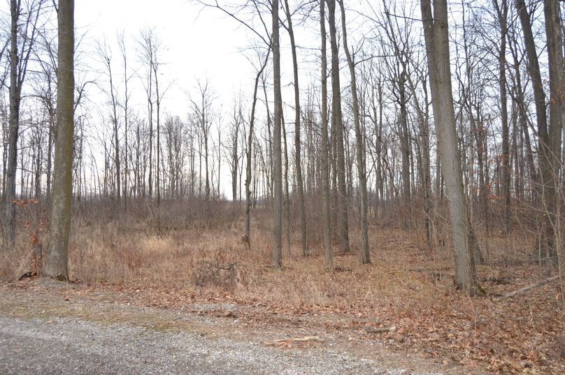 Looking north from lot