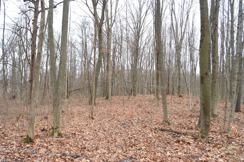 Looking west from lot