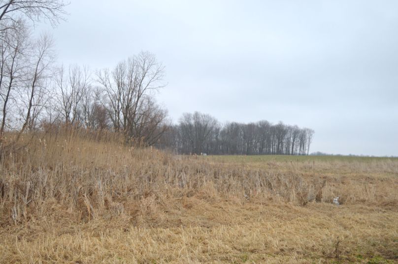 Top edge of the wetlands