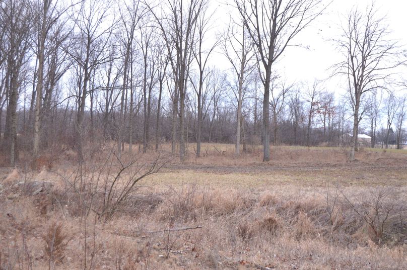 Top edge of the woods