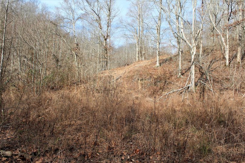 001 small clearing along zeke branch road perfect for small cabin