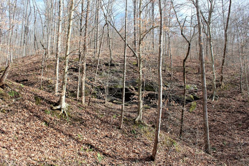 005 one of the many cool rock features on the property
