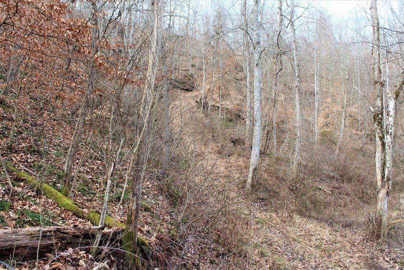 010 old logging road leading to the ridge top in the center of the property