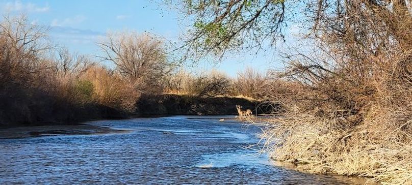 Copy of Copy of 20210505_182928