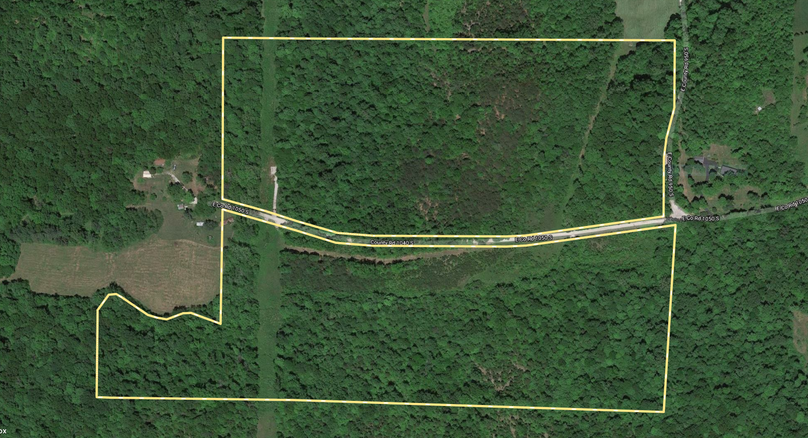 Williams 56.3- zoomed in