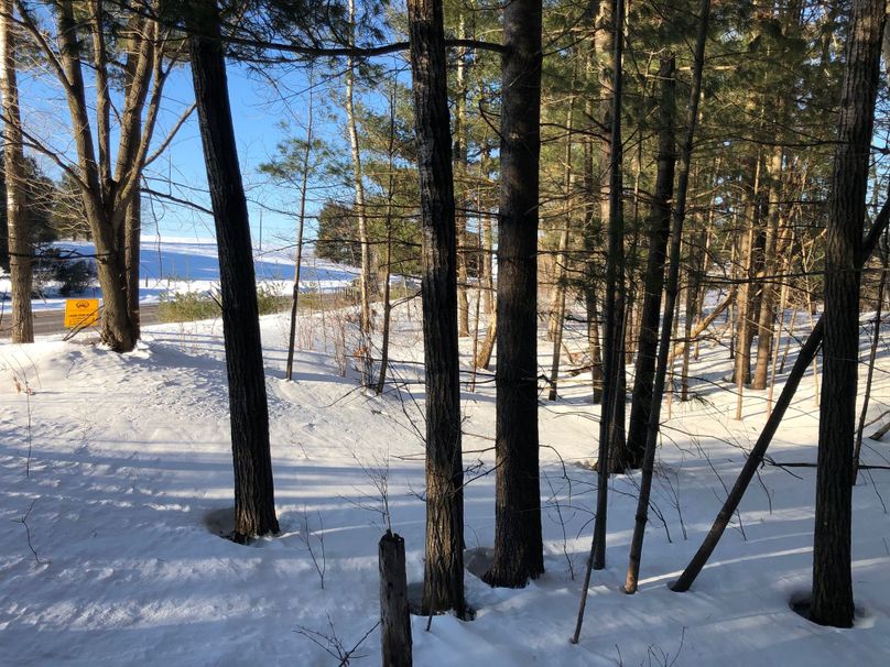 Barron3.3brinkman-005