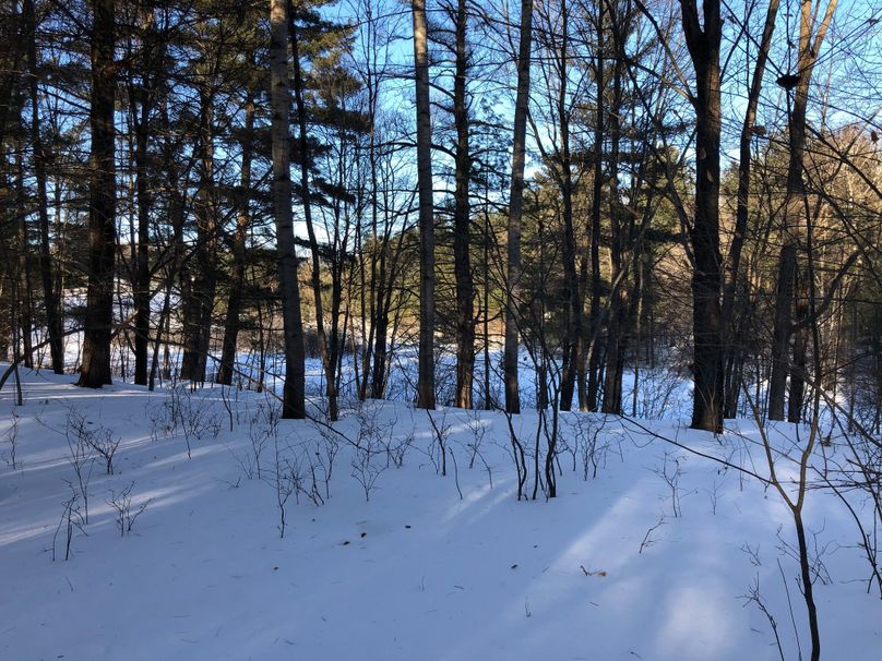 Barron3.3brinkman-007