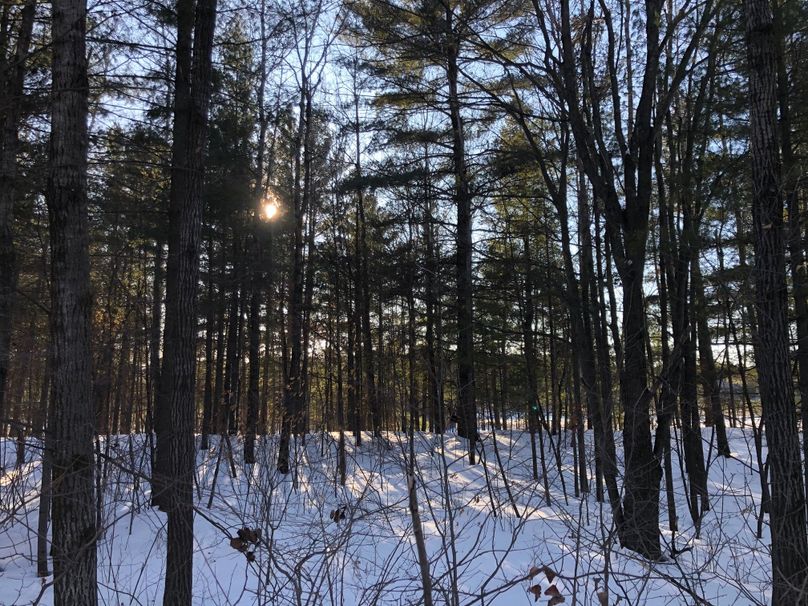 Barron3.3brinkman-009