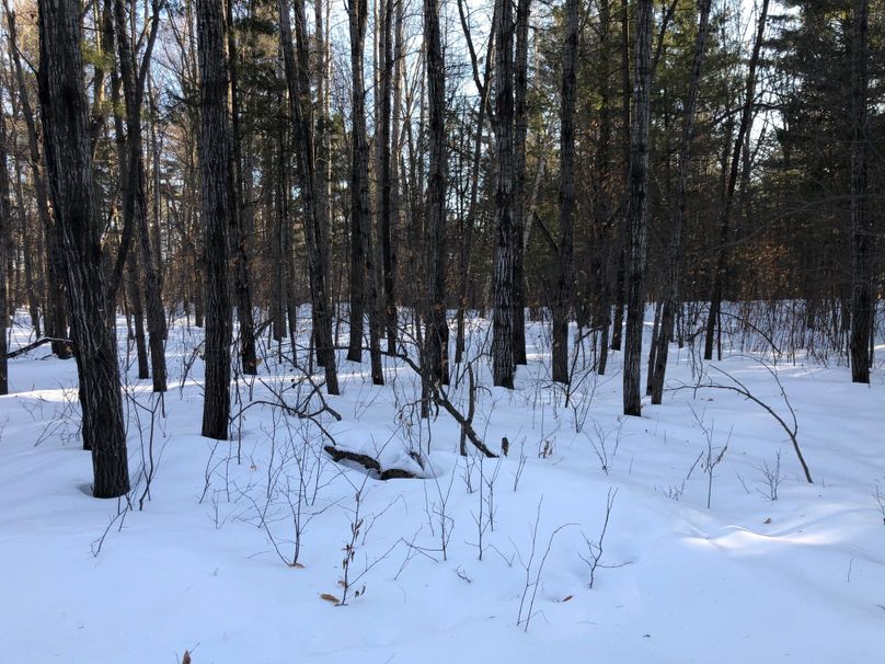 Barron3.3brinkman-010