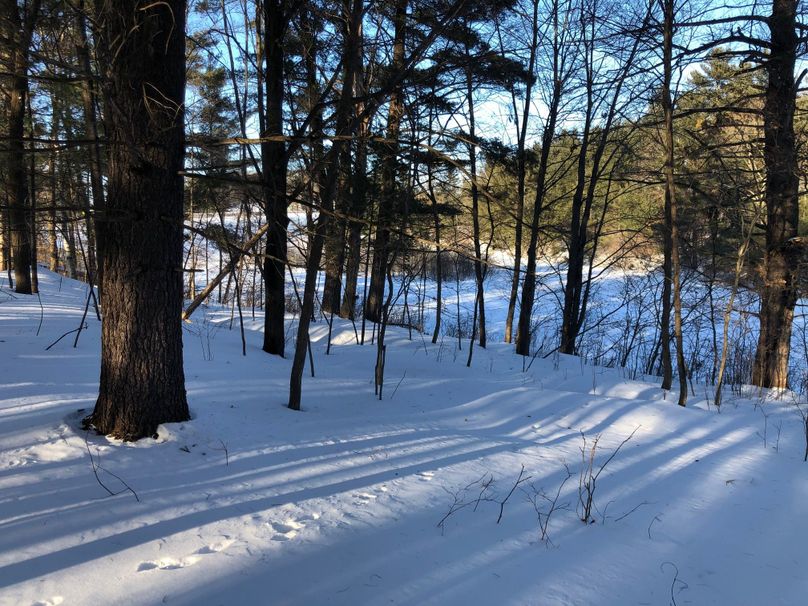 Barron3.3brinkman-012