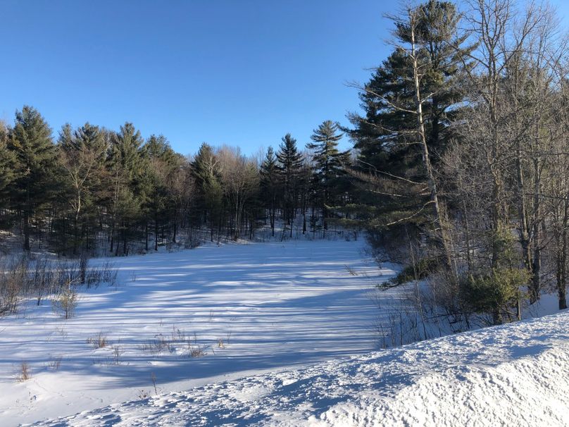 Barron3.3brinkman-013