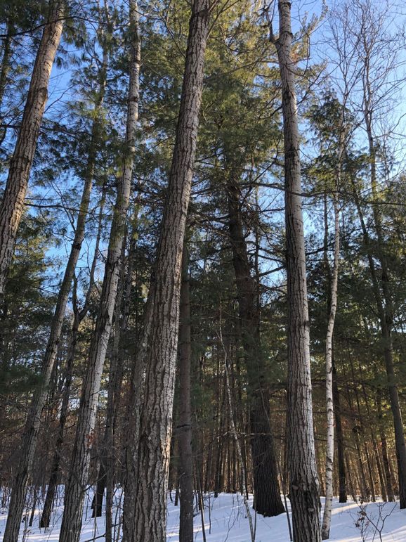 Barron3.3brinkman-014