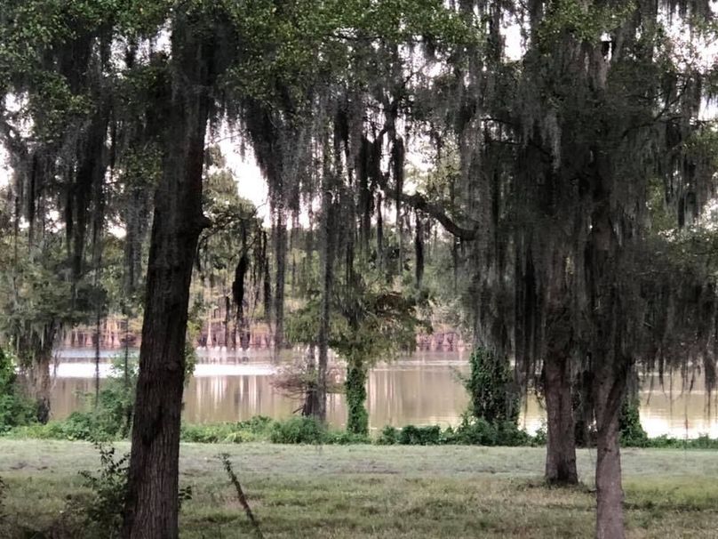 Black Lake Waterfront Lot With Beautiful Views Near Campti Whitetail Properties