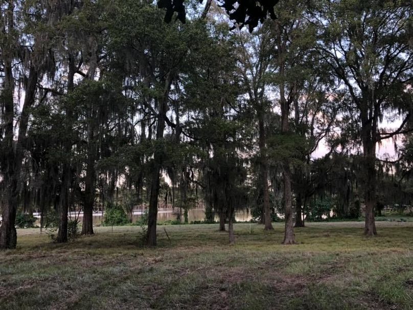 Black Lake Waterfront Lot With Beautiful Views Near Campti Whitetail Properties