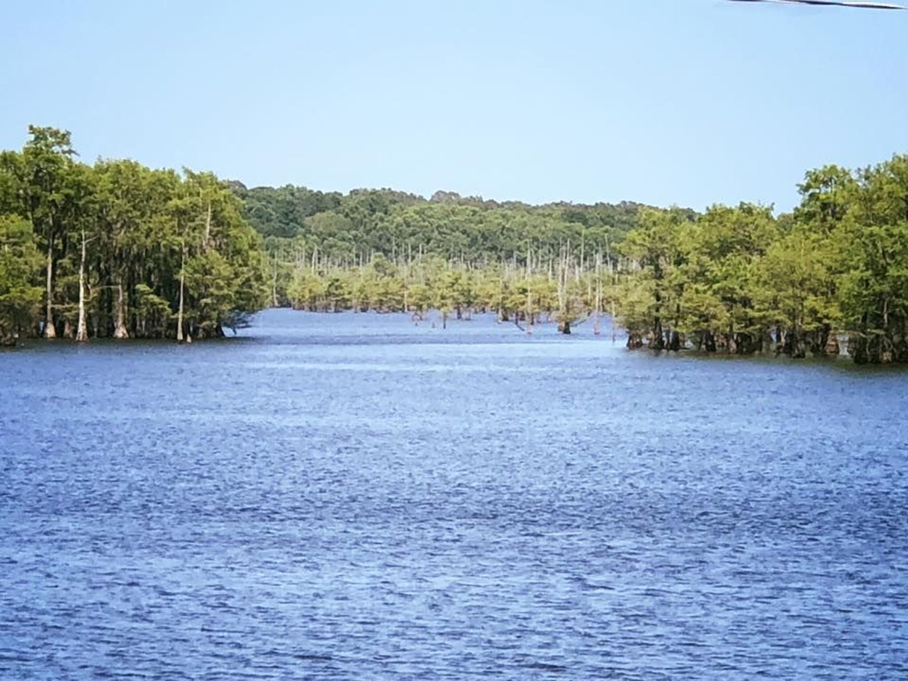 Black Lake Waterfront Lot With Beautiful Views Near Campti Whitetail