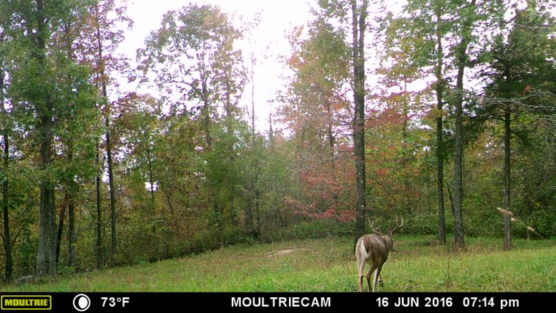 10-2017 house place buck