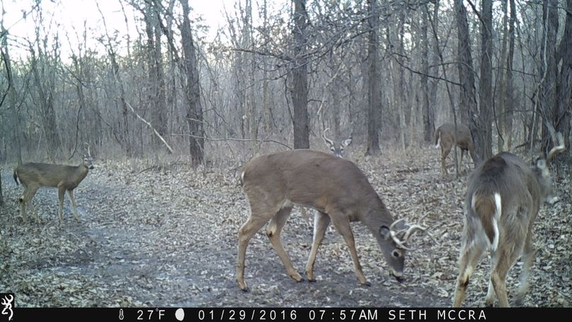 Hightower   wide (20)