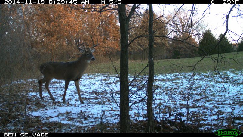 Sue and browser ! (6)