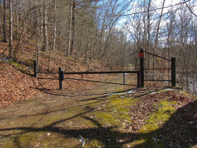 Private gate access to back side of property