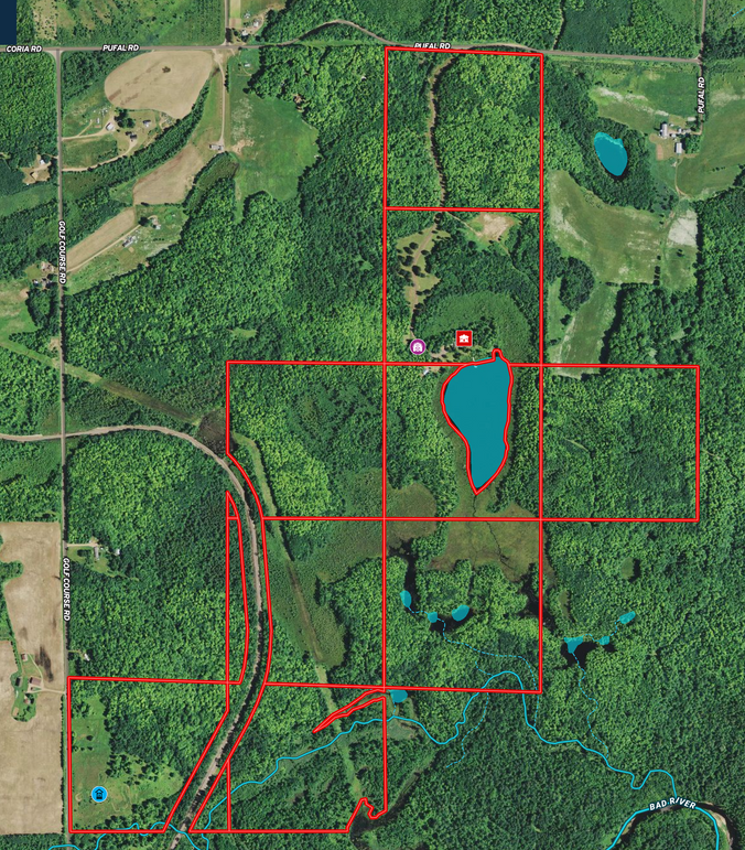 Screen shot 2020-02-04 at 12.09.19 pm